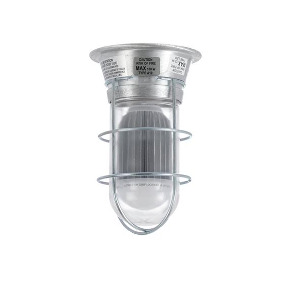 Picture of 12W Surface Mount Natural White LED Hood Light With Clear Coated Tempered Glass Globe And Wire Guard
