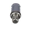 Picture of 1-5/8" Round Stainless Steel Clad Thermoplastic Adjustable Hex Foot Insert