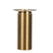 Picture of Encore® Brass Sink Drain 3-1/4" L, 1-3/8" Dia Sink Opening, 2" Face Flange, Includes: Locknut, Washer, Stopper, 1" NPT
