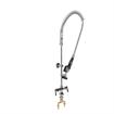 Picture of Encore Single Hole Deck Mount Pre Rinse Assembly Less Wall Bracket