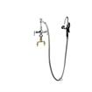 Picture of Encore Single Hole Deck Mount Utility Spray Assmebly with 72" Hose and Hooked Spray Head