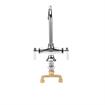 Picture of Encore® Brass Chrome Plated Double Pantry Faucet with 6" Rigid Gooseneck Spout