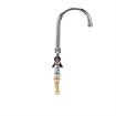 Picture of Encore® Brass Chrome Plated Double Pantry Faucet with 6" Rigid Gooseneck Spout