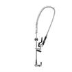 Picture of Encore®  Brass Chrome Plated Single Wall Mount Pre Rinse Assembly with Wall Bracket