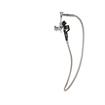 Picture of Encore®  Brass Chrome Plated Single Wall Mount Utility Spray Assembly with 72" Hose and Vacuum Breaker