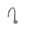 Picture of Encore® Brass Chrome Plated Wall Mount Spout Base with 6" Rigid Gooseneck Spout