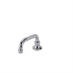 Picture of Encore® Brass Chrome Plated Wall Mount Spout Base with 10" Swivel Spout