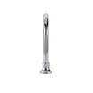 Picture of Encore® Brass Chrome Plated Deck Mount Spout Base with 6" Gooseneck Spout