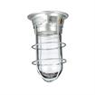 Picture of 100W Surface Mount  Incandescent Hood Light With Tempered Glass Globe, Wire Guard And High Temperature Leads