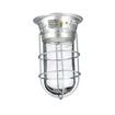 Picture of 100W Surface Mount  Incandescent Hood Light With Tempered Glass Globe, Wire Guard And High Temperature Leads