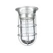 Picture of 100W Surface Mount  Incandescent Hood Light With Tempered Glass Globe, Wire Guard And High Temperature Leads
