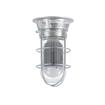 Picture of 12W Surface Mount Natural White LED Hood Light With Clear Coated Tempered Glass Globe And Wire Guard