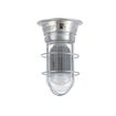 Picture of 12W Surface Mount Natural White LED Hood Light With Clear Coated Tempered Glass Globe And Wire Guard