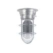 Picture of 12W Surface Mount Natural White LED Hood Light With Clear Coated Tempered Glass Globe And Wire Guard
