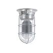 Picture of 12W Surface Mount Natural White LED Hood Light With Clear Coated Tempered Glass Globe And Wire Guard