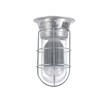 Picture of 12W Surface Mount Natural White LED Hood Light With Clear Coated Tempered Glass Globe And Wire Guard