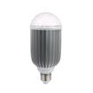 Picture of 12W Warm White LED Hood Lamp