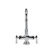 Picture of Encore® Brass Chrome Plated Double Pantry Faucet with 6" Swivel Gooseneck Spout and Lever Handles, Retail Packaging