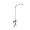 Picture of Encore® Brass Chrome Plated Double Pantry Faucet with Elevated 12" Swivel  Spout and Ceramic Valves