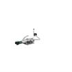 Picture of Intelli-Flo EZ Electronic Deck Mount Faucet 3-1/2" Gooseneck Spout AC Powered with Thermostatic Mixing Valve and 1.5 gpm Laminar Flow Vandal Resistant